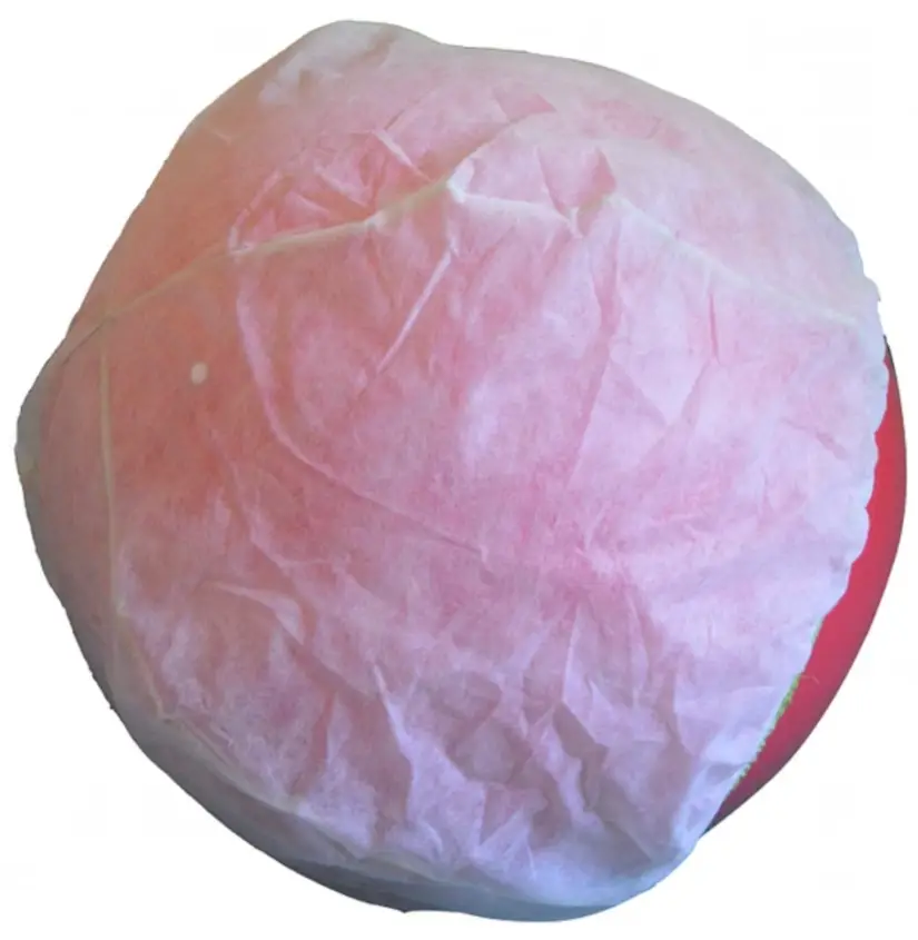 Cubre Balón Kinésico